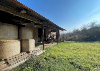 Villa Borgo Tossignano - foto 32