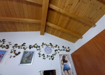 Villa a Schiera Reggio nell'Emilia - foto 15