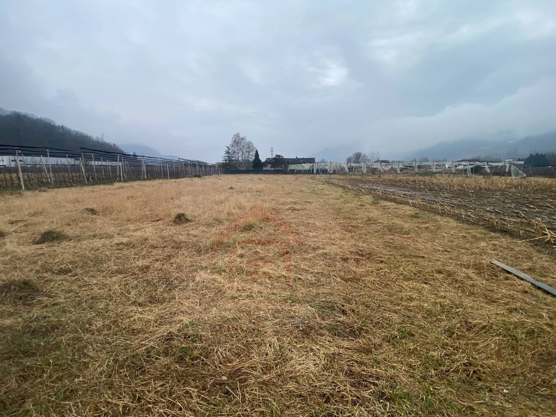 Terreno agricolo Pergine Valsugana - foto 3