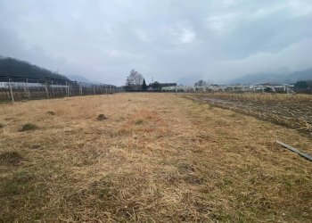 Terreno agricolo Pergine Valsugana - foto 3