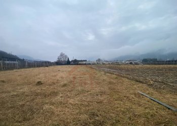 Terreno agricolo Pergine Valsugana - foto 4