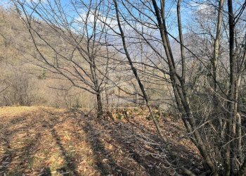 Terreno agricolo VIA SERNIGA, Salò - foto 7