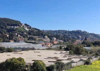 Vista - Trilocale via Don Giovanni Bosco, Vallecrosia - foto 33