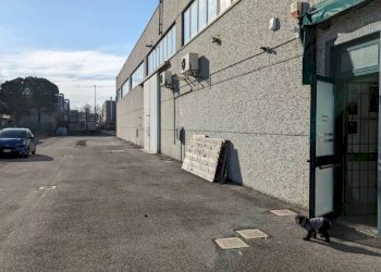 Facciata - Capannone Bologna (zona San Vitale) - foto 6