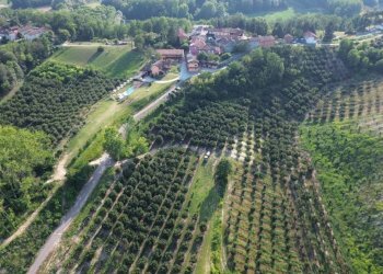 Vista - Rustico Cortazzone - foto 20