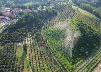 Vista - Rustico Cortazzone - foto 21