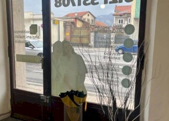 Shop Pinerolo - photo 6