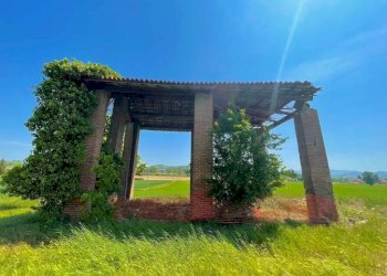 Vista - Rustico via Tortona, Carbonara Scrivia - foto 8