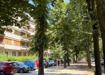 Zona - Appartamento Cuneo (zona Centro) - foto 1