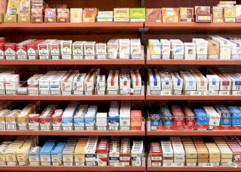 Tabaccheria Bologna - foto 3