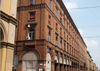 Tabaccheria Bologna - foto 5