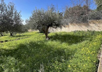 Terreno edificabile Via Aldo Moro, Sciacca - foto 15