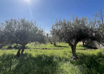 Terreno edificabile Via Aldo Moro, Sciacca - foto 16