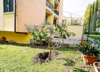 Trilocale Via Della Magliana, Roma - foto 9