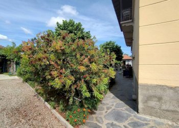 Cortile interno - Villa viale Armando Diaz, Castelletto Sopra Ticino - foto 8