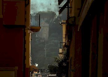 Negozio Portofino - foto 4