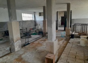 Independent house Roascio - photo 12