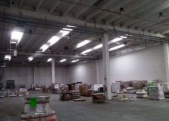 Shed Modena - photo 7