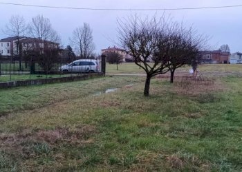 Terreno - Rustic via Aldo Moro, Sissa Trecasali - photo 6