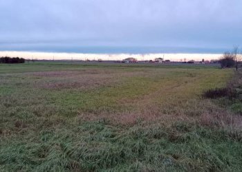 Terreno - Rustico via Aldo Moro, Sissa Trecasali - foto 8