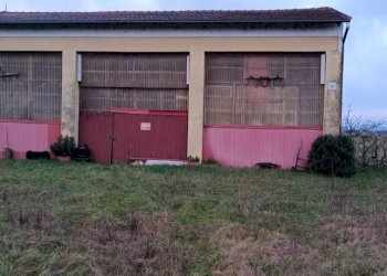 Dettagli - Rustico via Aldo Moro, Sissa Trecasali - foto 9