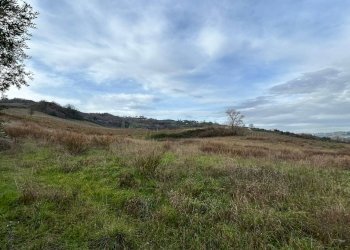 Agricultural land Strada Provinciale 142, Ripatransone - photo 3