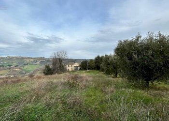 Agricultural land Strada Provinciale 142, Ripatransone - photo 4