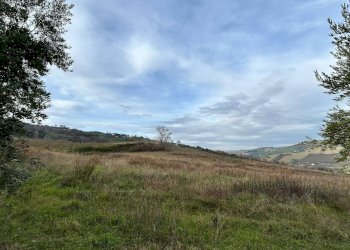 Agricultural land Strada Provinciale 142, Ripatransone - photo 5