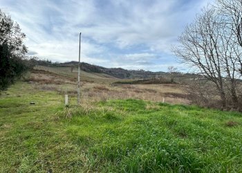 Agricultural land Strada Provinciale 142, Ripatransone - photo 7