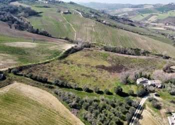 Agricultural land Strada Provinciale 142, Ripatransone - photo 1