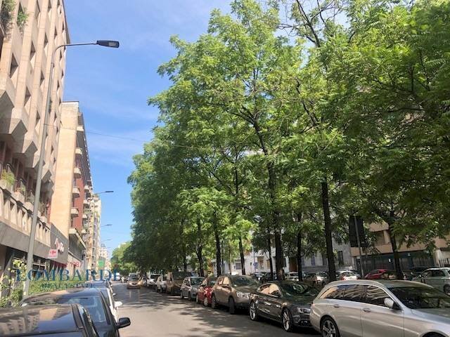 Quadrilocale Viale Regina Giovanna, Milano - foto 2