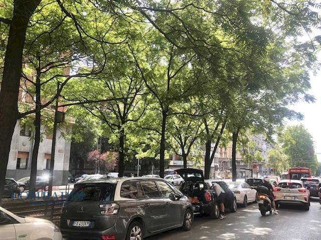 Quadrilocale Viale Regina Giovanna, Milano - foto 3
