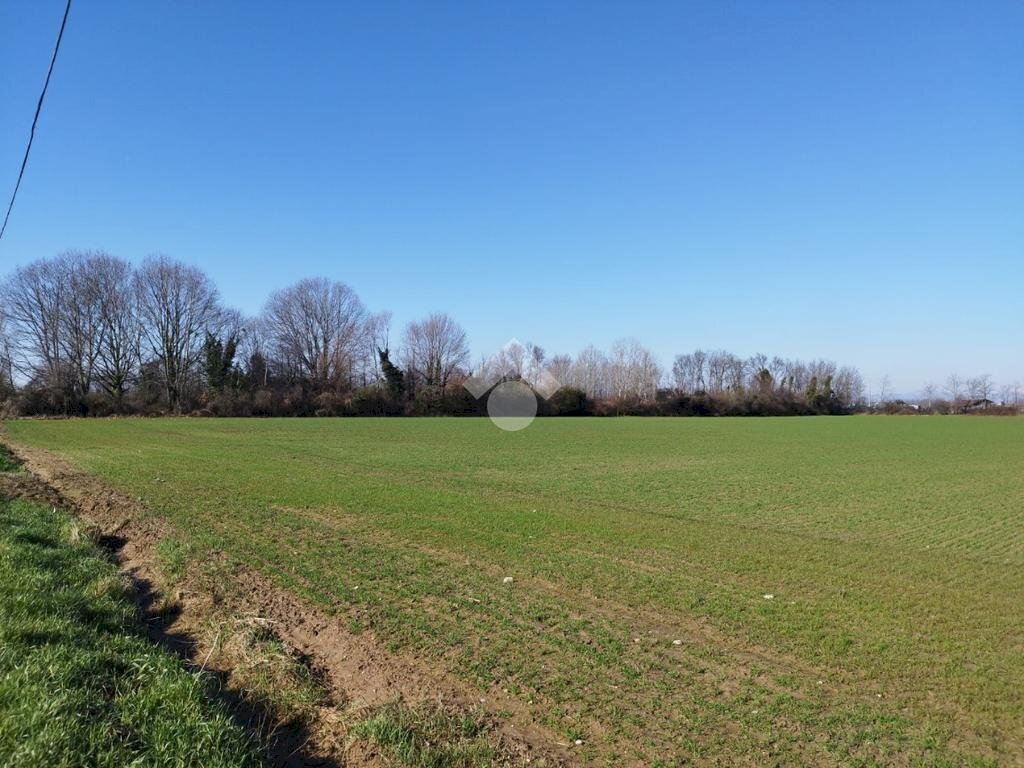 Terreno agricolo Via F. Guarnerio, Trezzo sull'Adda - foto 3