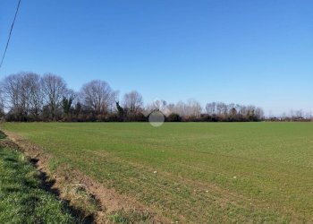 Terreno agricolo Via F. Guarnerio, Trezzo sull'Adda - foto 3