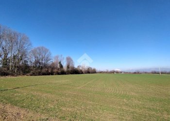 Terreno agricolo Via F. Guarnerio, Trezzo sull'Adda - foto 7
