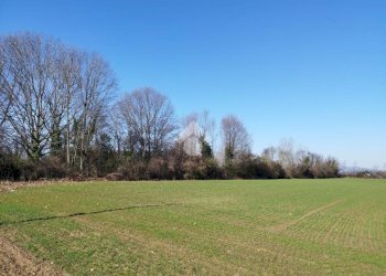 Terreno agricolo Via F. Guarnerio, Trezzo sull'Adda - foto 8