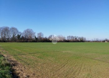 Terreno agricolo Via F. Guarnerio, Trezzo sull'Adda - foto 9