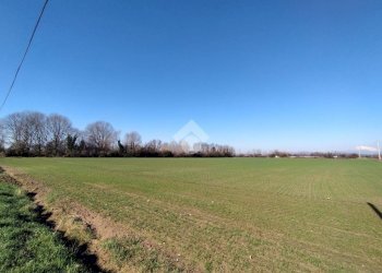 Terreno agricolo Via F. Guarnerio, Trezzo sull'Adda - foto 10
