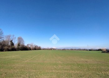 Terreno agricolo Via F. Guarnerio, Trezzo sull'Adda - foto 13