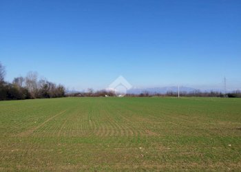 Terreno agricolo Via F. Guarnerio, Trezzo sull'Adda - foto 14