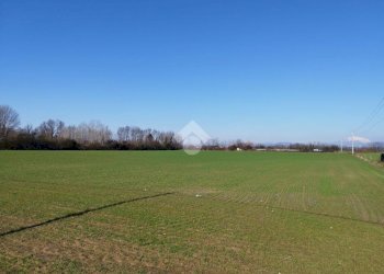 Terreno agricolo Via F. Guarnerio, Trezzo sull'Adda - foto 15