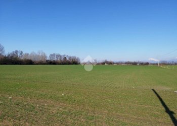 Terreno agricolo Via F. Guarnerio, Trezzo sull'Adda - foto 16