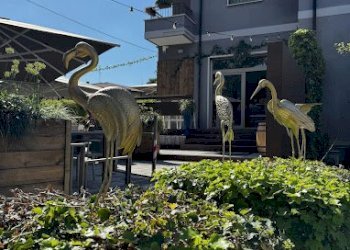 Bar Tavola Calda - Fredda viale della repubblica, 2, Peschiera del Garda - foto 2