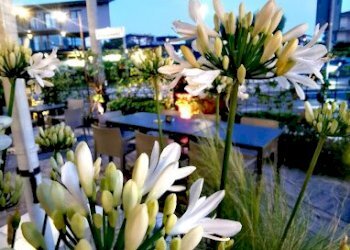 Bar Tavola Calda - Fredda viale della repubblica, 2, Peschiera del Garda - foto 7