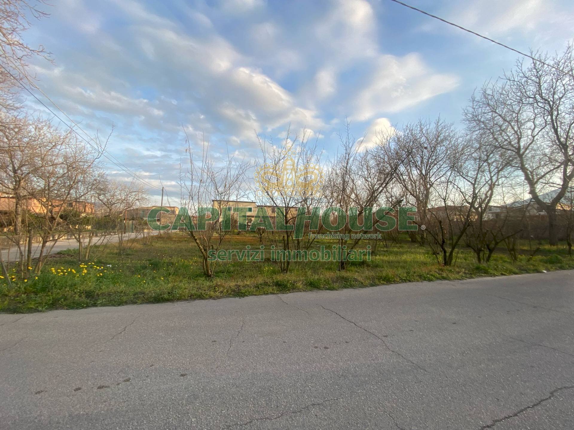 Terreno agricolo Saviano - foto 2