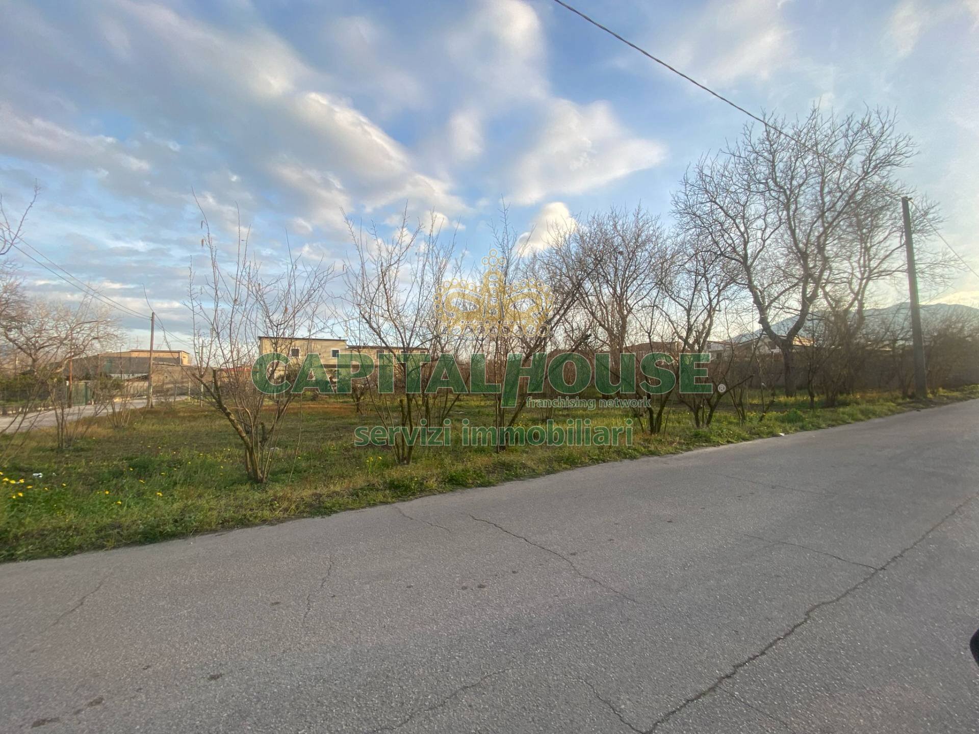 Terreno agricolo Saviano - foto 3