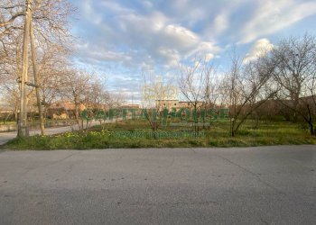 Terreno agricolo Saviano - foto 1