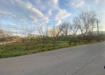 Terreno agricolo Saviano - foto 3