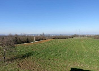 Terreno - Rustico Regione Valdelcerro, Incisa Scapaccino - foto 10