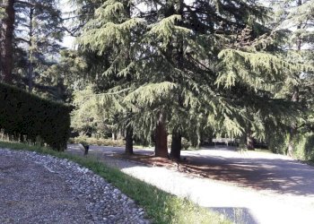 Giardino - Appartamento via Francesco Caracciolo, 87, Varese - foto 43